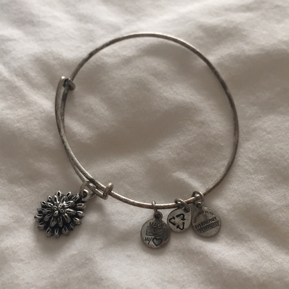 Alex and Ani